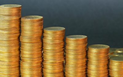 L&rsquo;économie face à de nouveaux défis : Comment s&rsquo;adapter pour prospérer dans un monde en constante évolution ?