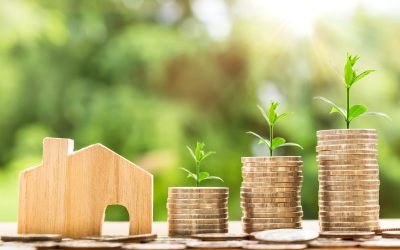 Plongez au cœur de l’économie : comprendre les enjeux et les perspectives actuelles